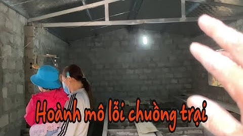 HƯỚNG DẪN CÁCH TẠO HỖN HỢP ĐÁNH CƠM NUÔI DÚI MỐC ĐẠI TRUNG QUỐC | Chuột Tre 360