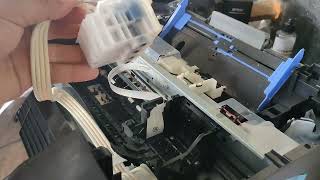 How To Replace Sensor Flex Cable L5290 L5190 L3210 L3250 L3110 L3150