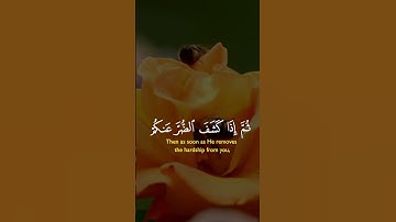 قران كريم | آيات بينات من سورة النحل للشيخ خالد الجليل