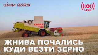 Жнива 2023, ціни на зерно, зерновий коридор. Стрім для фермерів та аграріїв