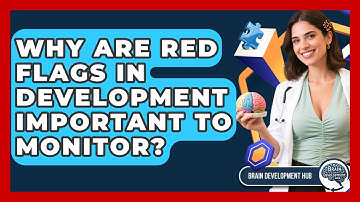 Why Are Red Flags In Development Important To Monitor? - Brain Development Hub
