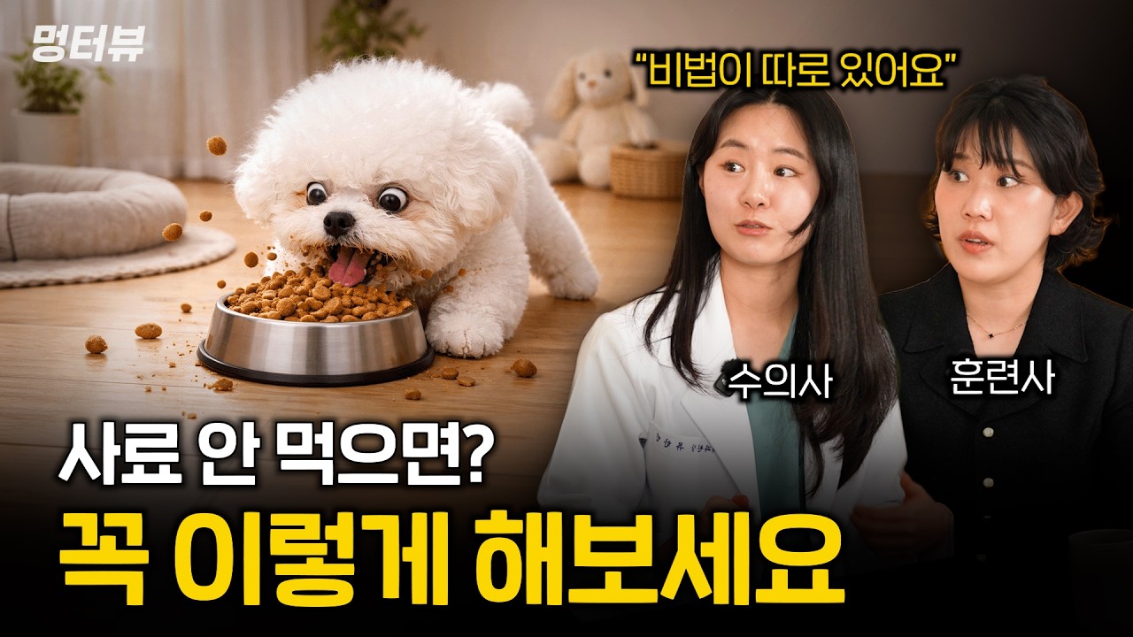 밥 안 먹는 강아지 잘 먹게 하는 방법 5가지 (10초면 싹 긁어먹어요) | 멍터뷰 ep.68