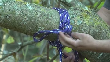 Kid Experiments: Tyre Swing | English | Darwin and Newts
