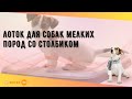 Лоток для собак мелких пород со столбиком