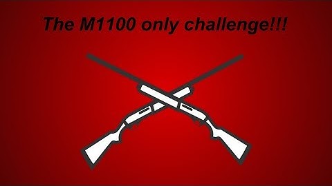 M1100 Only Challenge!!! *Surviv.io*
