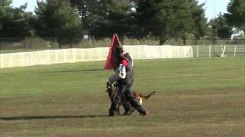 Morris Chaisson AWMA Protection - In Control Dog T...