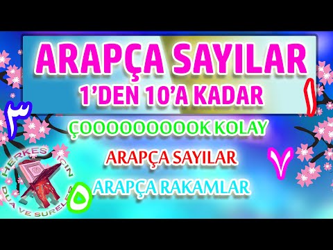 Arapça sayılar 1 den 10 a kadar hızlı Arapça sayılar 10 kadar Arapça rakamlar kolay ezberle