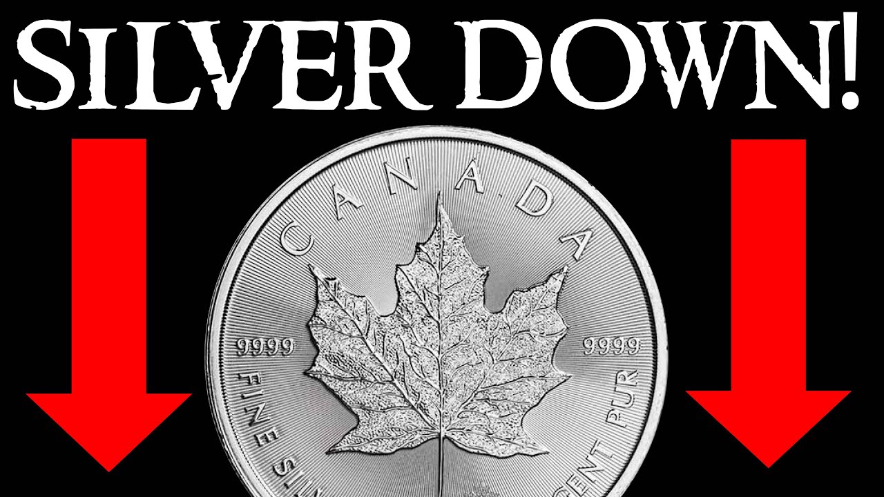 Download Why is Silver Price DOWN Today When Inflation is Raging?!?