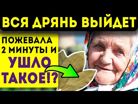 Что будет, если пожевать 1 лаврушку? Необратимые изменения в организме! Очищение организма!