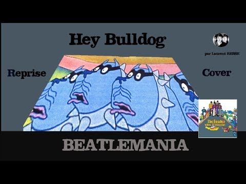 hey-bulldog-(yellow-submarine)