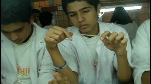 Lab 2-6 Circular Motion