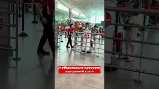 #thailand #арендапхукет #бангтао #юмор #cat #kualalumpur