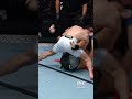Javid Basharat With A Beautiful Knock Down!! #ufcvegas113