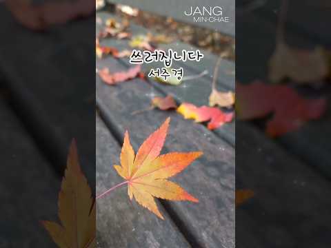 쓰러집니다 장민채 일반인커버송