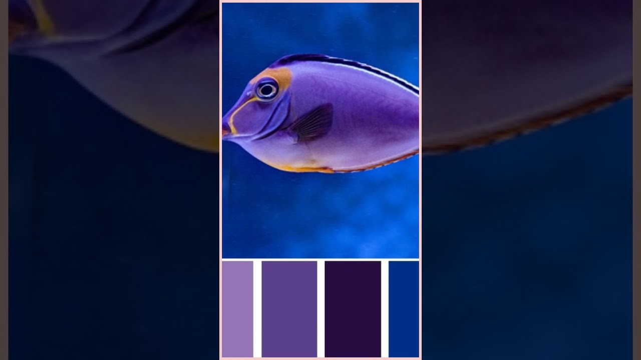 Сочетание цветов. Неоново синий и фиолетовый