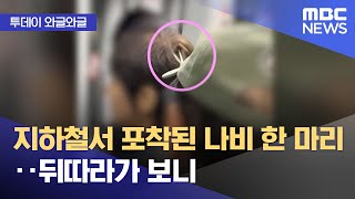 [와글와글] 지하철서 포착된 나비 한 마리‥뒤따라가 보니 (2024.04.25/뉴스투데이/MBC)