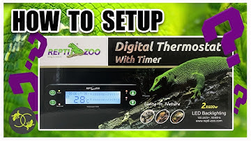 ReptiZoo THC10 - How To Setup a ReptiZoo Digital Thermostat with Timer - Cookies Critters - 2020