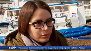 24 часа онлайн о жизни Тюмени 24 часа онлайн о жизни Тюмени