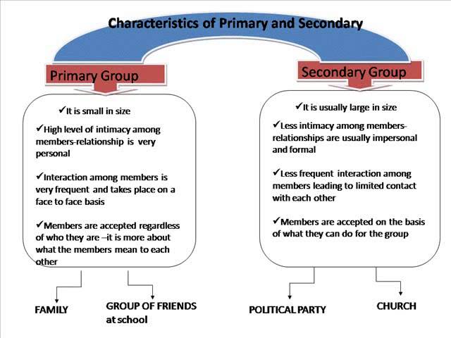 Social Group Definition, Types & Examples - Video & Lesson Transcript