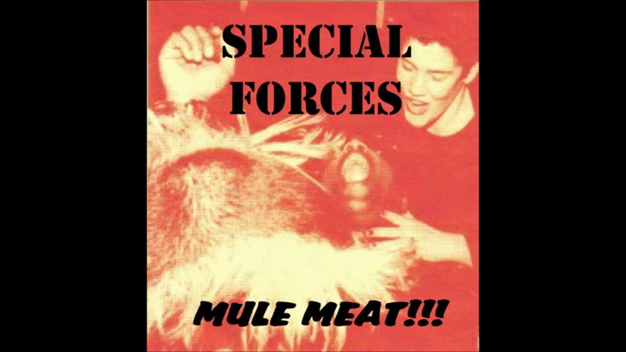 Watch Special Forces - Mulemeat Blues on YouTube Watch Special Forces - Mulemeat Blues on YouTube
