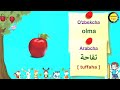 Mevalar - O'zbek va Arab tillarida || فواكه - بالاوزبكي و العربي || Fruits - Uzbek and  Arabic