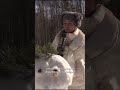 Армия снеговиков в красноярском парке «Юдинская долина»: ПРОВЕРКА ТВК