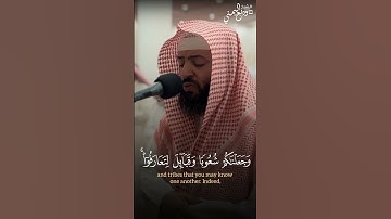 إن أكرمكم عند الله أتقاكم || الشيخ وديع اليمني تلاوة بديعة 🤍 سورة الحجرات #وديع_اليمني #سورة_الحجرات