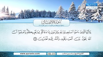 سورة الأنفال | تلاوة مباركة من الآية 20 إلى الآية 29 | بصوت القارئ الشيخ ياسين نائب