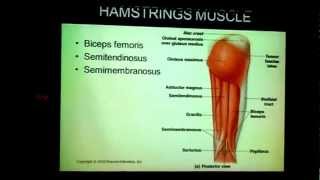 VID_20120530_153640.mp4