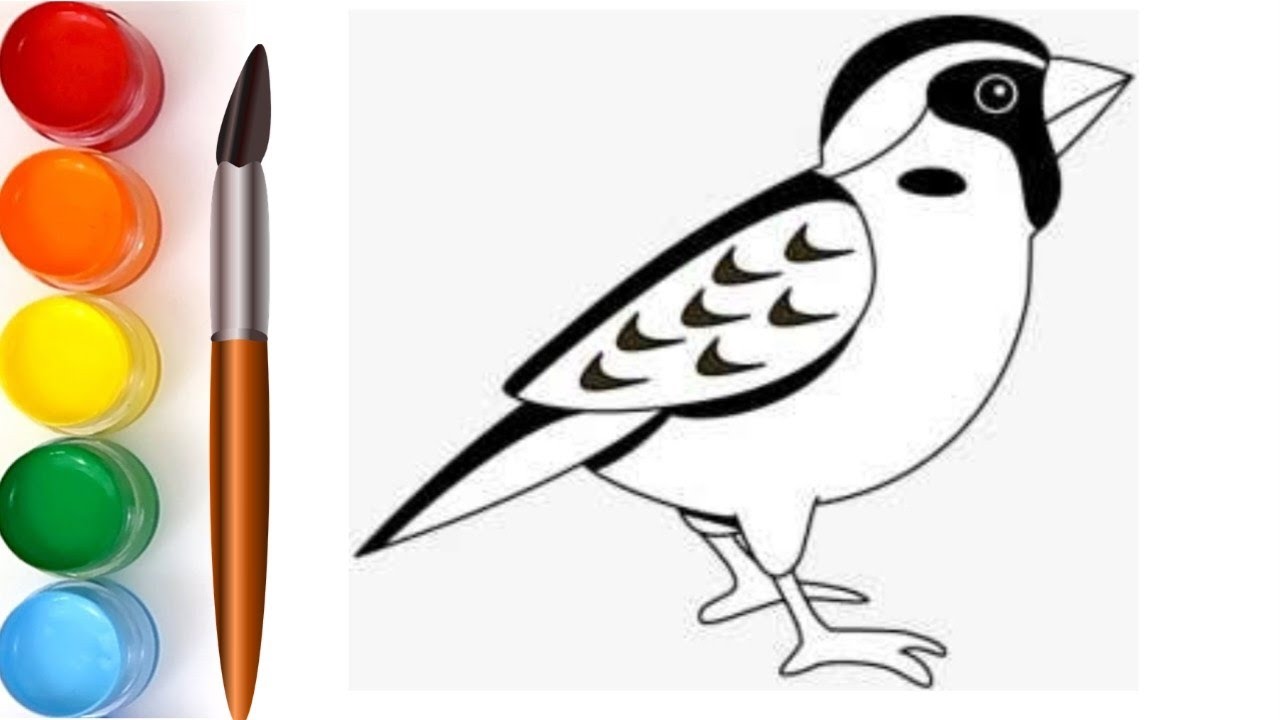 how to draw a sprrow, drawing colouring and painting for kids and ...