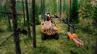 Download Lagu MINI FORWARDER KINETIC K437 - METAL AGRICOLA MP3 Download Lagu MINI FORWARDER KINETIC K437 - METAL AGRICOLA MP3