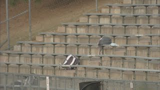 Colorado Football Championships Moved To Pueblo Due To Coronavirus Restrictions
