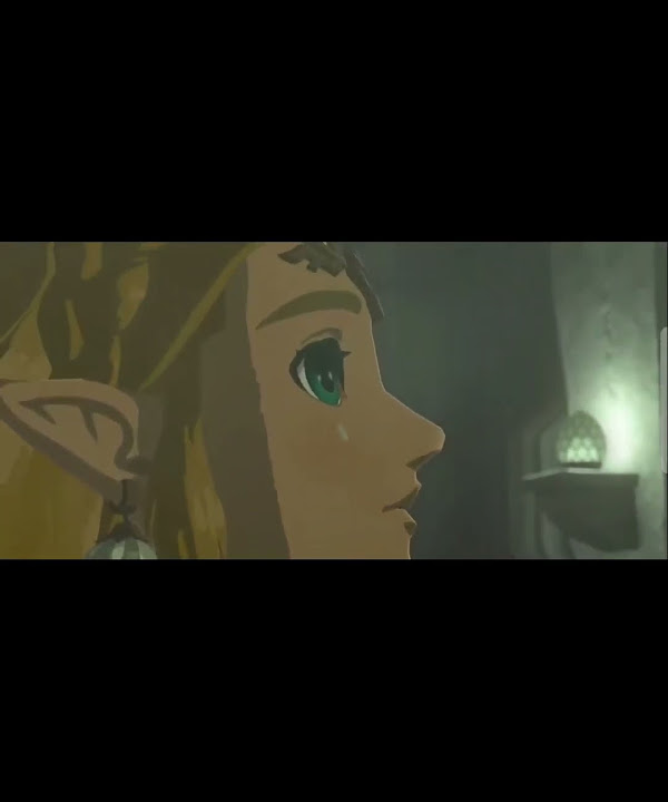 Link is the last line of defense youtube