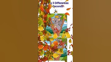 Spot The Difference Challenge #1