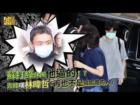 蘇打綠被逼休團！？青峰嘆林暐哲「不是我認識的人」