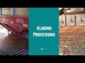 Almond Processing: Pre-Cleaning, Hulling/Shelling & Processing