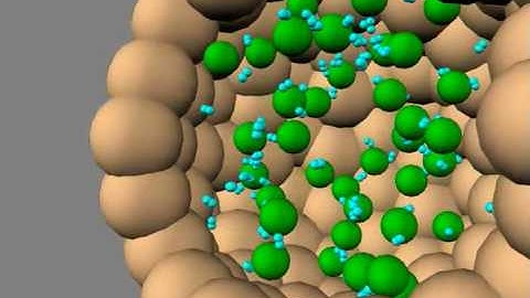 Vesicle-Synapsin clustering