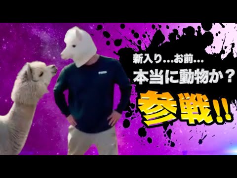 激やばアニマル全員参戦！！part34
