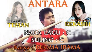 Antara Teman dan Kasih (Riza Umami) versi Cover Suling