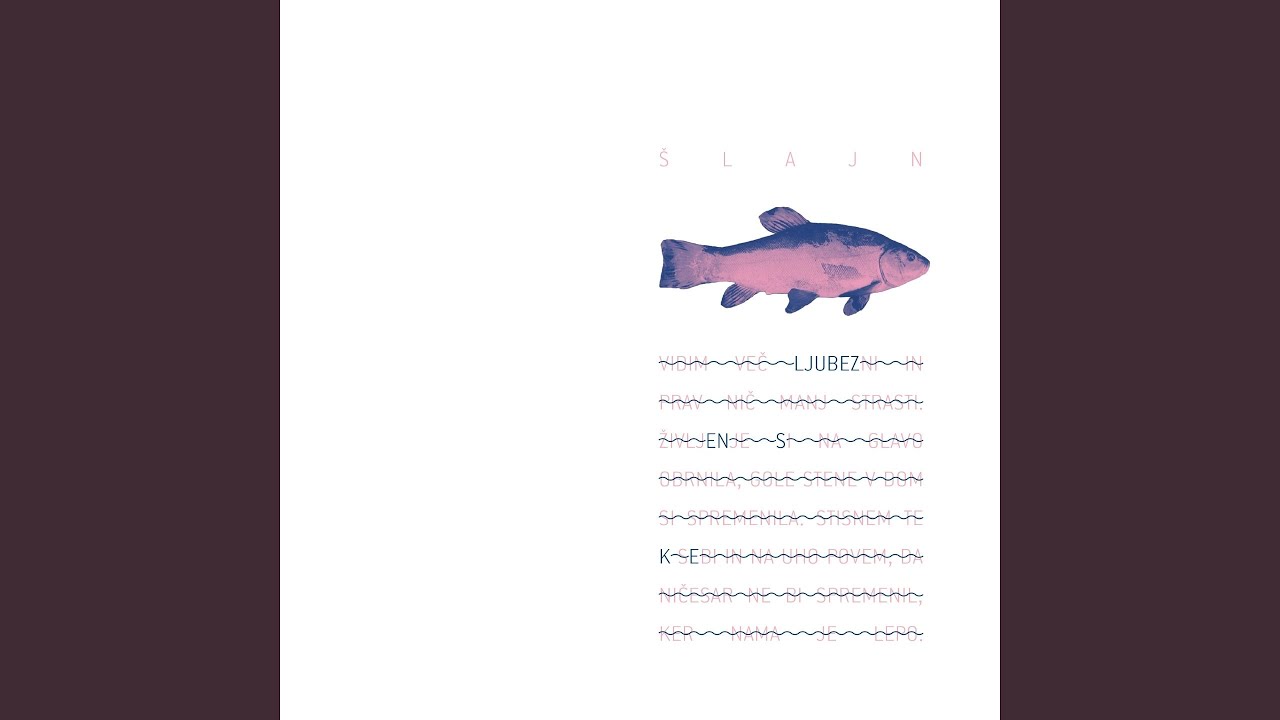 KO Sva Odšla Na Bled