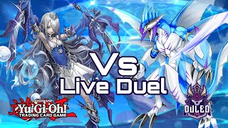 Yu-Gi-Oh!! Shark XYZ Vs Tearlaments Despia Live Duel PGL Locals!!