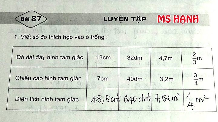 Giải vở bài tập toán lớp 5 trang 107 năm 2024