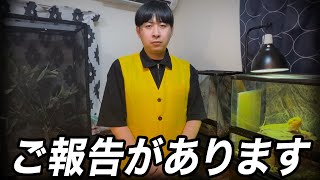 知人の家から昆虫ハウスの大事なお知らせ