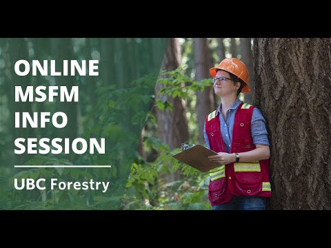 MSFM - Q&A
