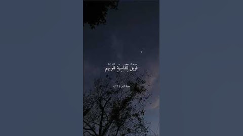 #short تلاوة خاشعة جميلة بصوت ماهر المعيقلي ارح سمعك دقيقة