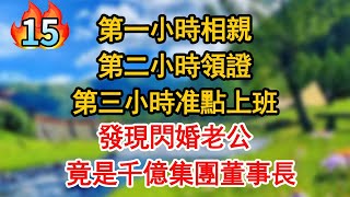 【第15集】第一小時相親 第二小時領證 第三小時准點上班 發現閃婚老公 竟是千億集團董事長【現代言情】【豪門總裁】【甜寵】【大女主】