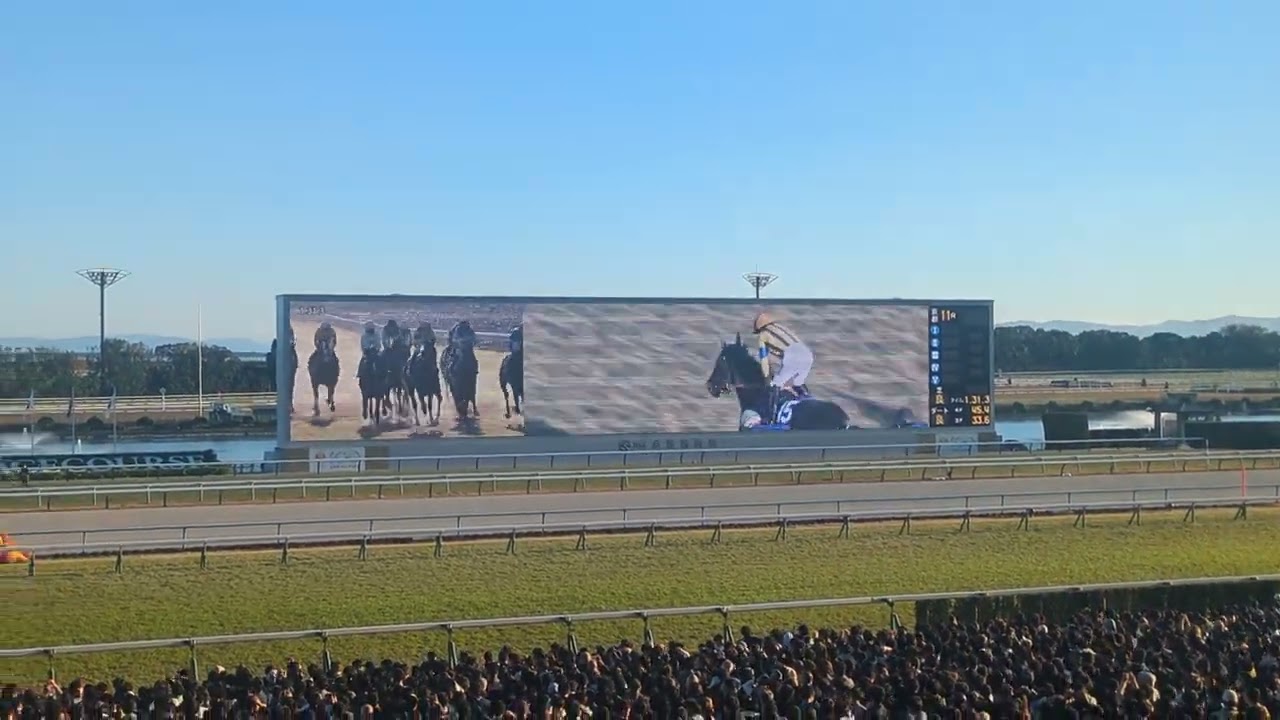 京都競馬場第４２回マイルチャンピオンシップＧ１
