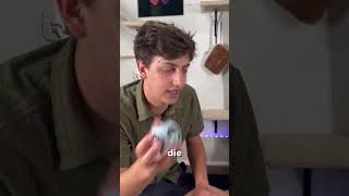 booze and pets - bap.kats new game!