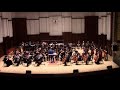 Capture de la vidéo Enigma Variations (Elgar) - Detroit Symphony Youth Orchestra