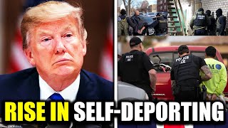 New ICE Data Reveals Rise in Self-Deportations | Immigration YT TV